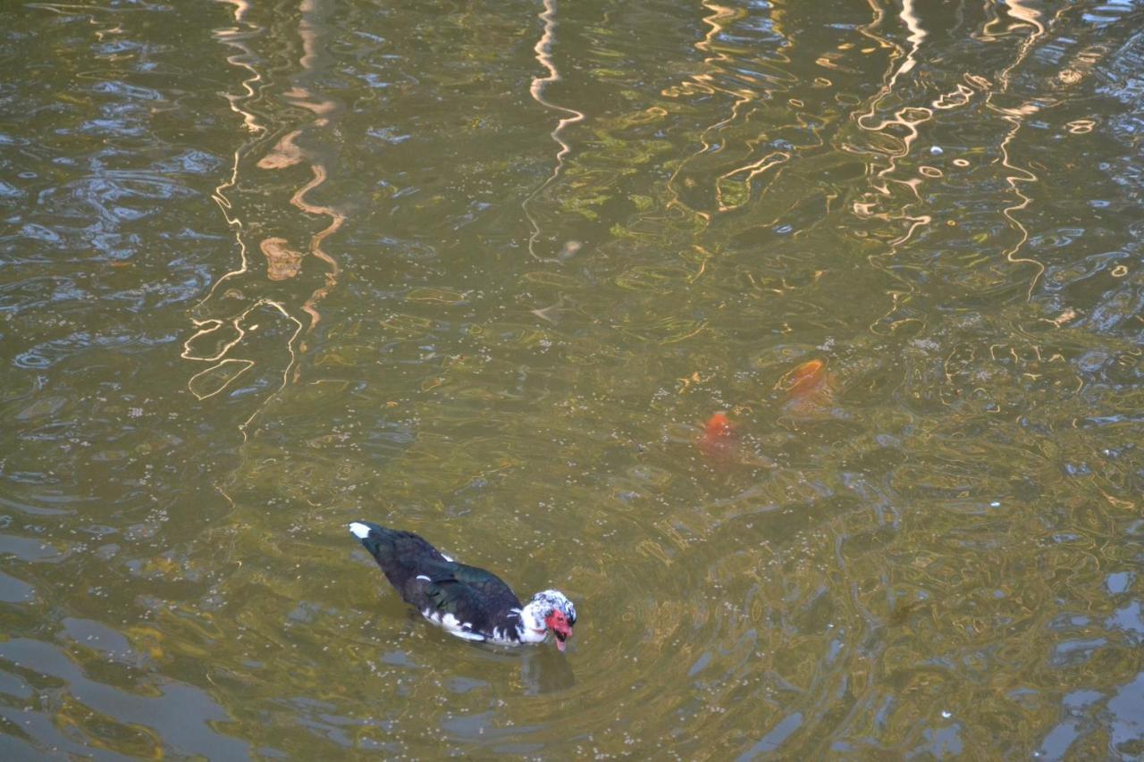 Pousada Di Venezia - Hotel Fazenda Nova Veneza  Zewnętrze zdjęcie